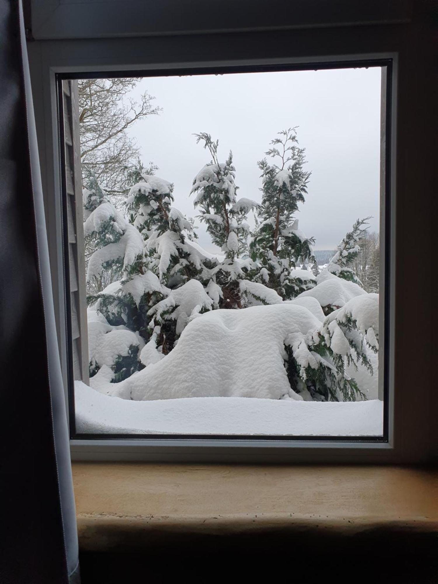Wlodgeone Braunlage Exterior photo